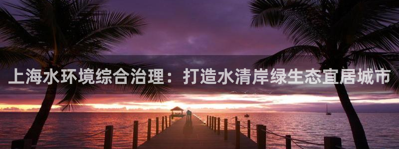 凯发k8官方旗舰店app|上海水环境综合治理：打造水清岸绿生态宜居城市