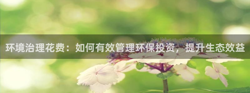 凯发网娱乐官网登录|环境治理花费：如何有效管理环保投资，提升生态效益