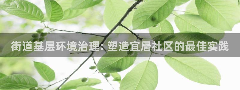 凯发网娱乐官网登录