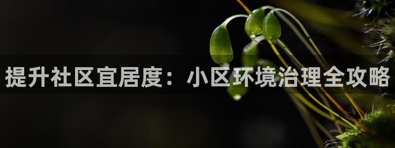 凯发k8官网下载客户端中心|提升社区宜居